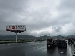 -张金涛熏鸡(x560店)