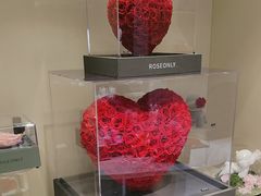 -ROSEONLY诺誓(磐基中心店)