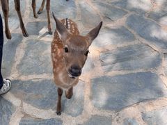 -南戴河国际娱乐中心