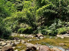 -广州白江湖森林公园