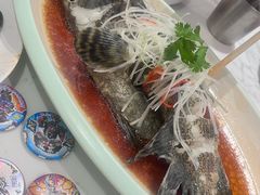 -T11生鲜超市(朝阳公园店)