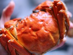 -虹御轩·传承江浙菜(虹桥店)