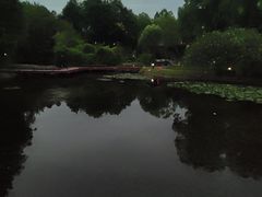 -月湖风景区