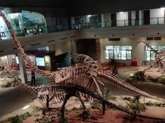 -自贡恐龙博物馆
