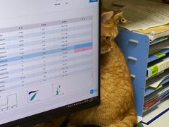 -康成宠物医院24H·CT·核磁共振