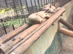 -昆明动物园