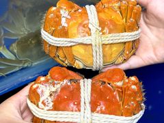 -阳澄湖大闸蟹·琼灵阁牌品牌连锁(吴中总店)