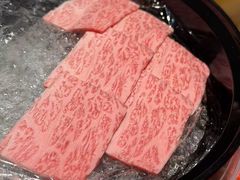 -洋房火锅(上海新天地南北里店)