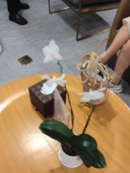 -Yestar艺星整形美容医院