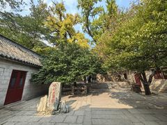 -青岛崂山太清宫