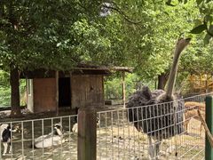 -武汉紫薇都市田园