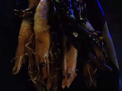 -INNS BAR 音乐酒吧餐厅