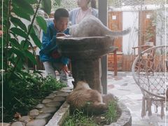 -喵屿·大理花园猫咖