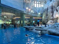 -帝企鹅自助餐厅•儿童岛•真企鹅(长隆企鹅酒店)