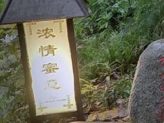 -三江森林温泉度假区