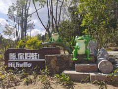 -海南热带雨林国家公园吊罗山景区
