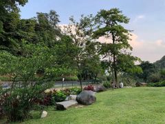 -火炉山森林公园