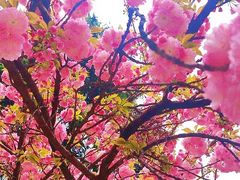 -西安理工大学(金花校区)