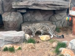 -青藏高原野生动物园