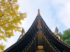 -上海东林寺(金山区)