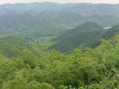 -莫干山风景区