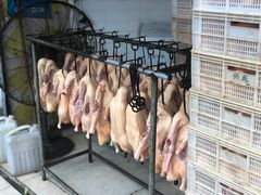 -杨震卤菜旗舰店