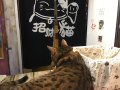 -小时光咖啡馆(开森度假森林店)