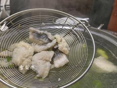 -金砂阿洲鱼册店