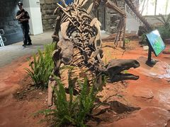 -自贡恐龙博物馆