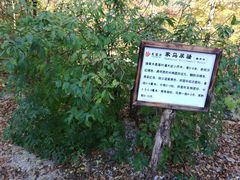 -龙道沟景区