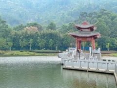 -东莞市大岭山森林公园