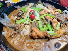 -老板恋上鱼(高新万达店)