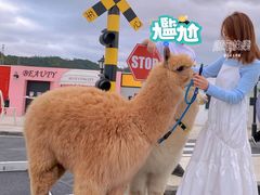 -Blue Concept Cafe&Farm·關於藍