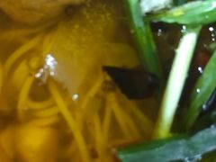 -刘家正宗鸭血面庄(一碗水总店)