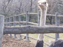 -西安秦岭野生动物园