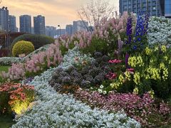 -首开·龙湖成都西宸天街