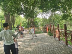 -北坞公园