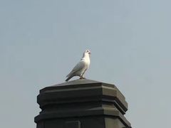 -侵华日军南京大屠杀遇难同胞纪念馆