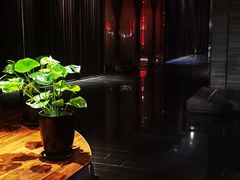 -张博士茗茶馆(外滩店)
