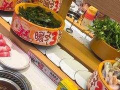 -龍歌自助小火锅(崂山丽达店)