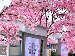 -首开·龙湖成都西宸天街