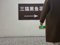 -三猫黑鱼花(南大店)
