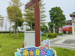 -王借岗森林公园