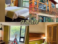 -洛阳白云山景区