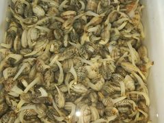 -宾朋海鲜特色美食餐厅·纯手工鲅鱼水饺(兴海路店)