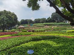 -天河儿童公园