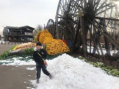 -呀路古热带植物园