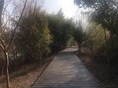 -梁鸿国家湿地公园