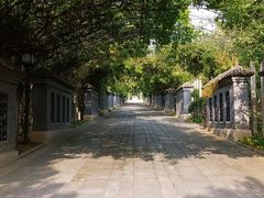 -北京十三陵国家森林公园蟒山景区