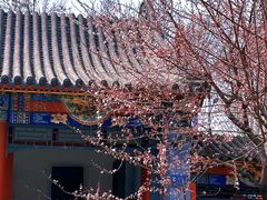-碑林公园